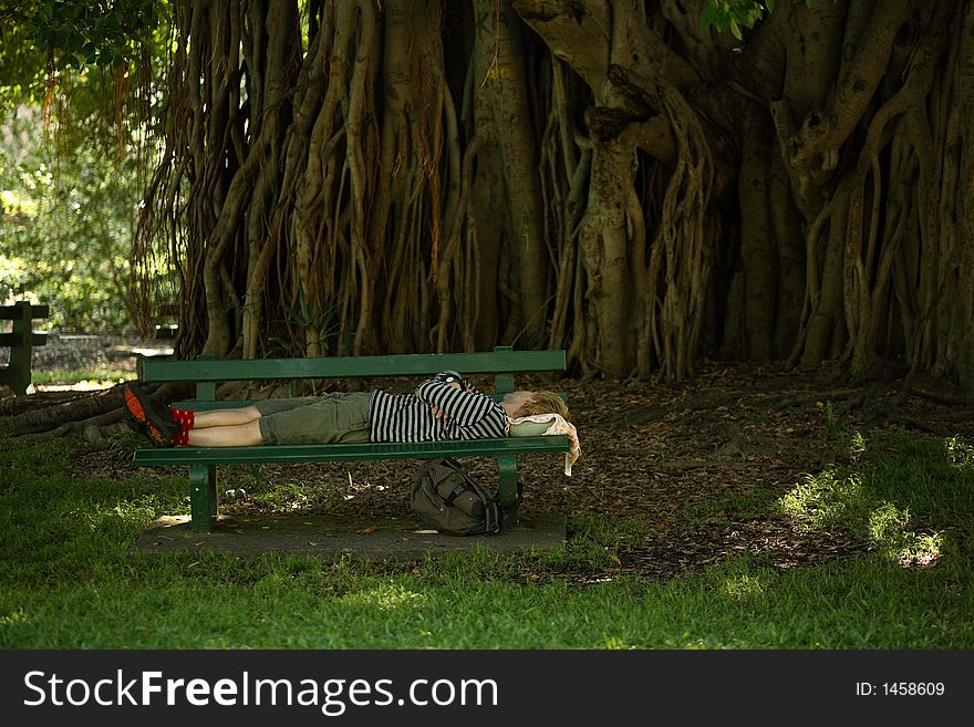 A man taking a peaceful nap under a huge tree at botanical garden, brisbane, australia