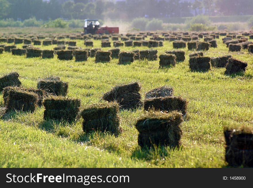 Tractor Working On Filed make Bale