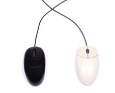 Two Computer Mouse. Black And White Royalty Free Stock Images