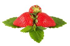 Strawberry On Leaf With Hand Made Clipping Path Royalty Free Stock Photo Strawberry On Leaf With Hand Made Clipping Path Royalty Free Stock Photo