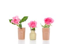 Three Little Vases With Pink Roses Stock Image