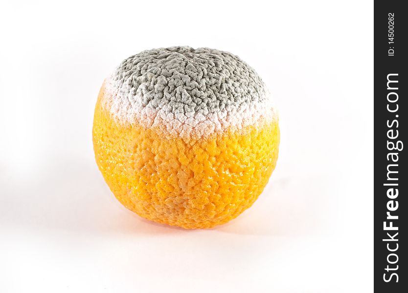 Overripe orange, isolated on white
