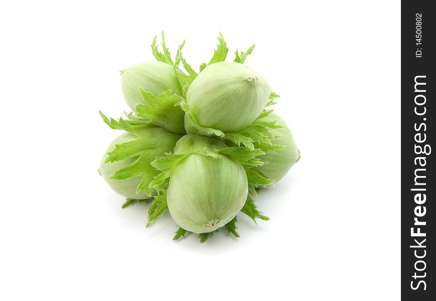 Group of fruits of a green nut tree on a white background. Group of fruits of a green nut tree on a white background.