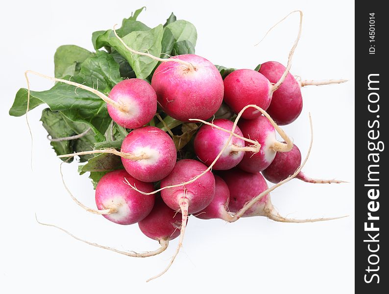 Bunch of radishes on a white background