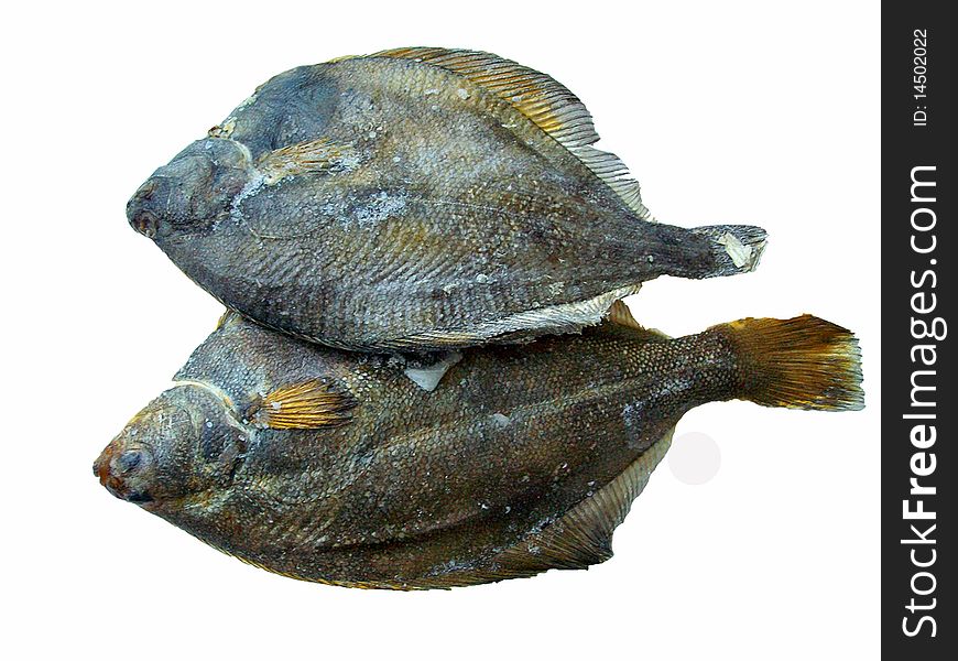 Two Fish Of The Plaice