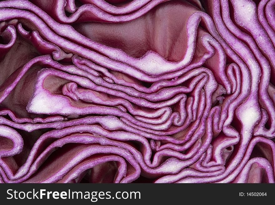 Macro of red cabbage sliced in half. Macro of red cabbage sliced in half