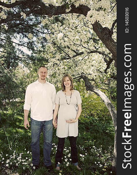 Happy pregnant couple standing under cherry blossom tree holding hands