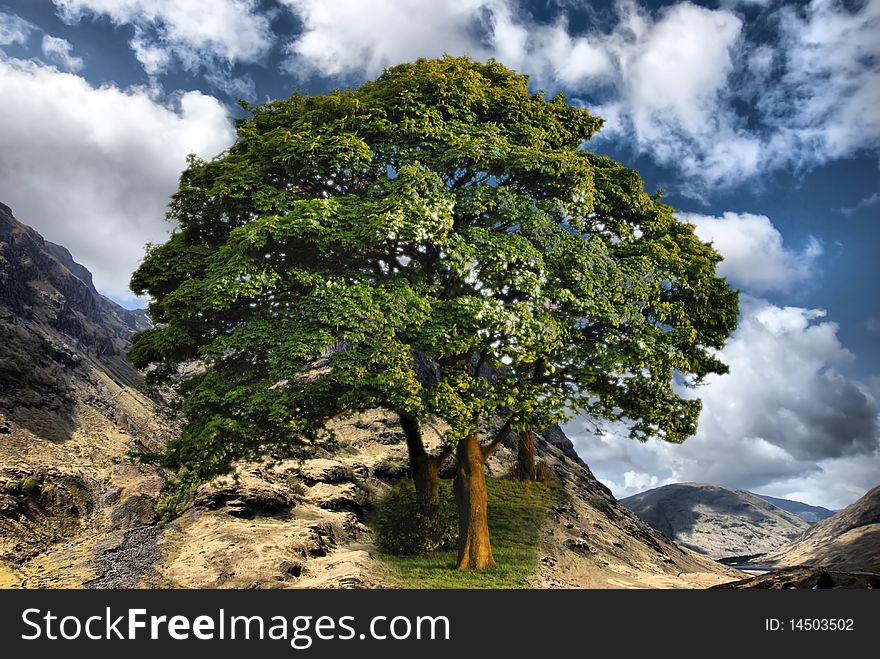 Colofrul mountain range with tree