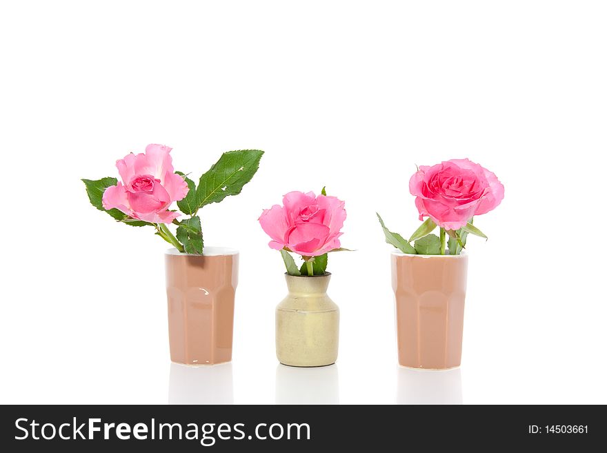 Three little vases with pink roses isolated over white