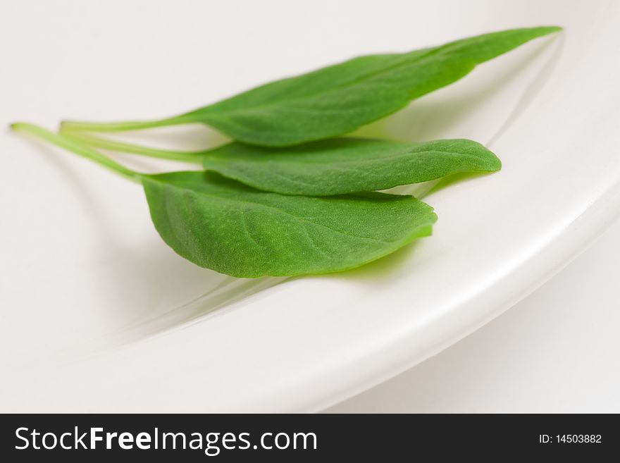 Thai basil leaves on a plate with with background