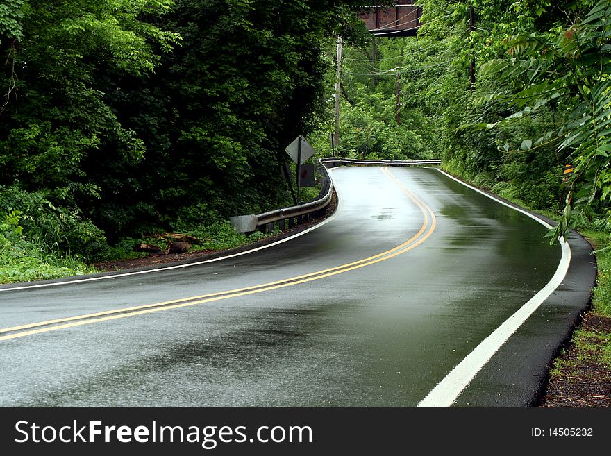 A tree lined Curvey rural road