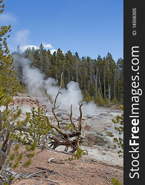 Yellowstone Hot Spring