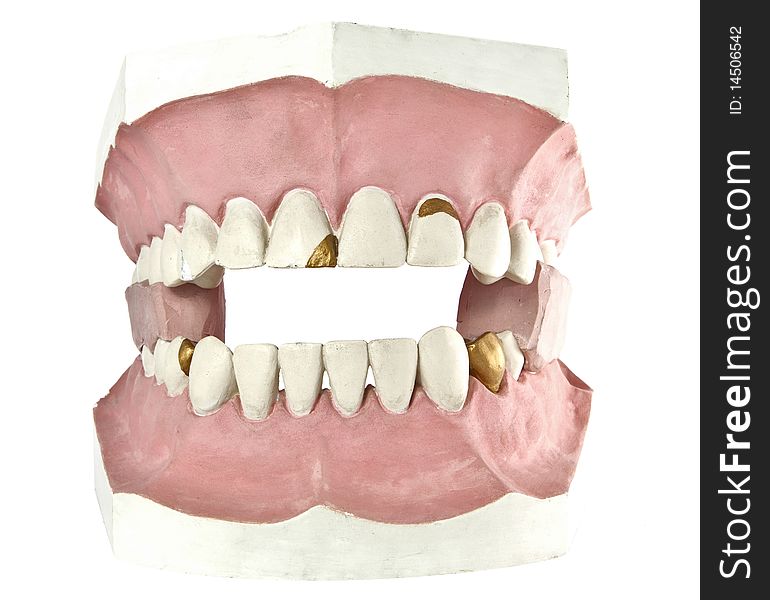 Tooth isolated model big smile dentist
