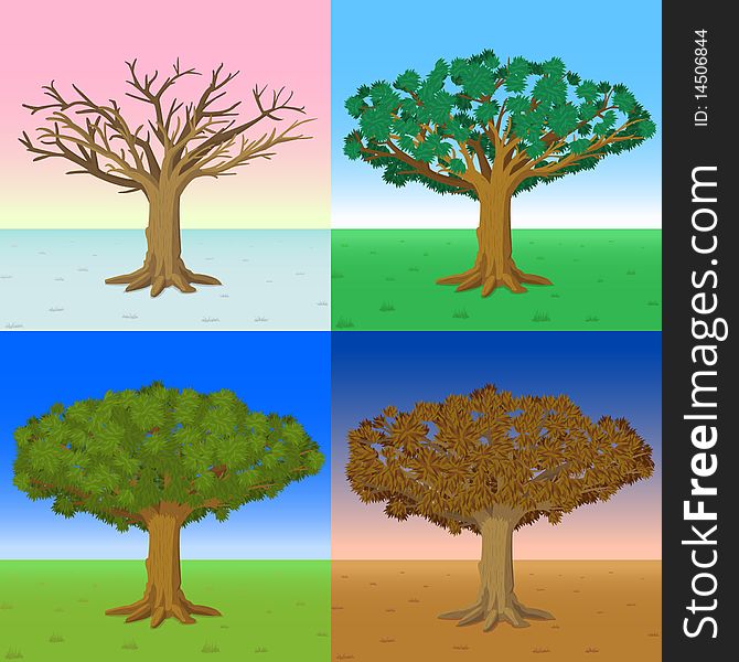 A tree during the four regular seasons of the year: Winter, Spring, Summer, and Autumn. A tree during the four regular seasons of the year: Winter, Spring, Summer, and Autumn.