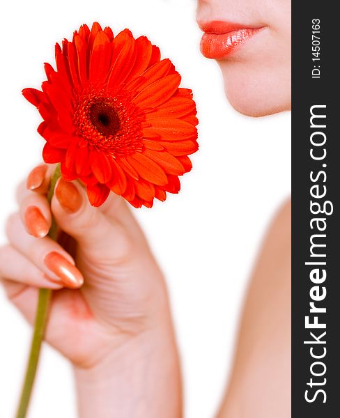 Beautiful girl holding bright red african daisy. Beautiful girl holding bright red african daisy