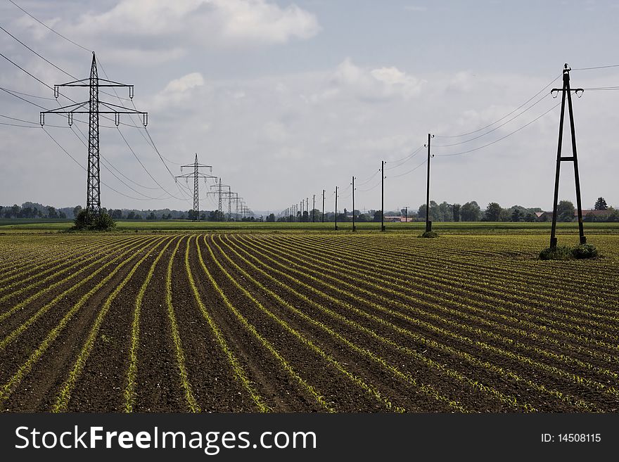 Lines and landscape in the spring