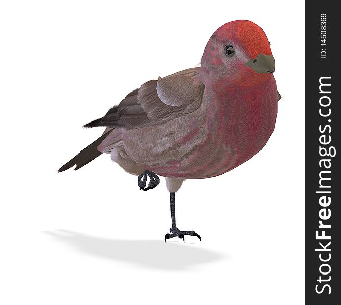 Bird Purple Finch Male. 3D rendering with