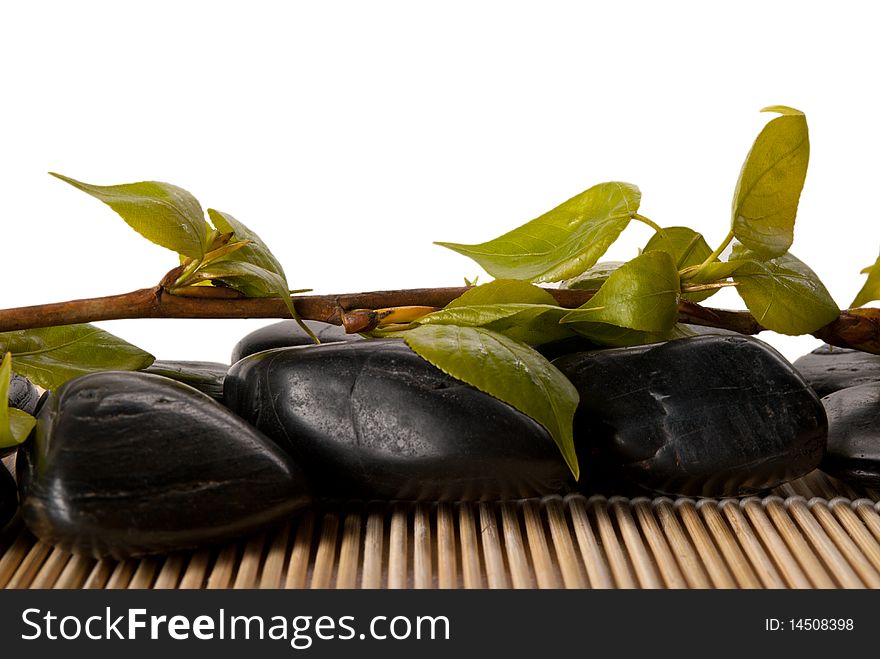 Branch of tree with leaves, dark stones and mat