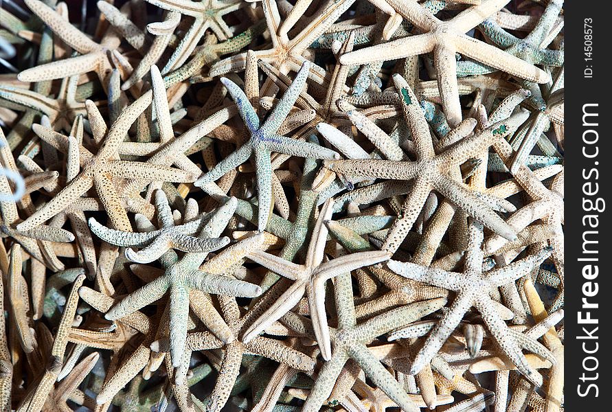 Background Image Of Dried Starfish