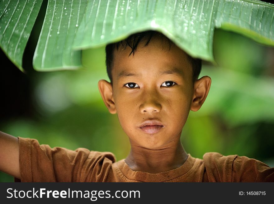 Outdoor portrait  of Indonesian boy hiding from rain under banana leaf . Outdoor portrait  of Indonesian boy hiding from rain under banana leaf