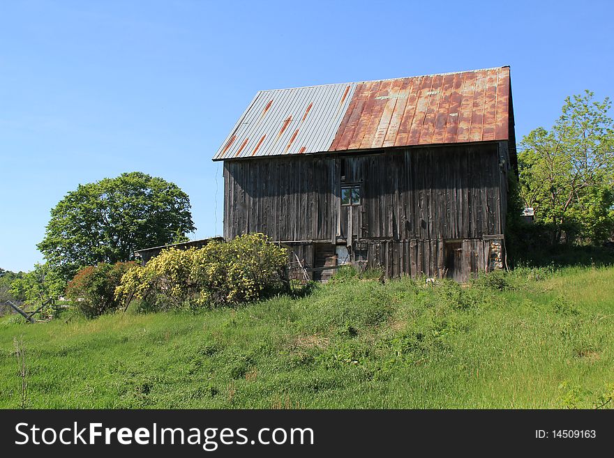 Wood and metal barn on hillside. Spring time yellow roses blooming. Bright blue sky and green grasses. Wood and metal barn on hillside. Spring time yellow roses blooming. Bright blue sky and green grasses.