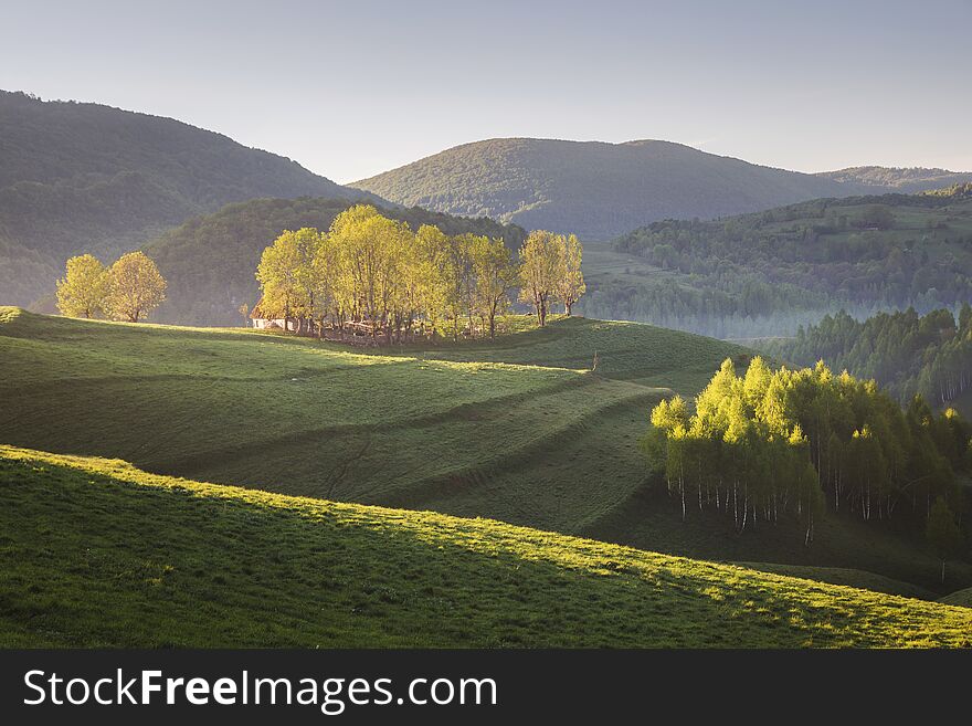 Spring sunrise at the forest edge, in Transylvania