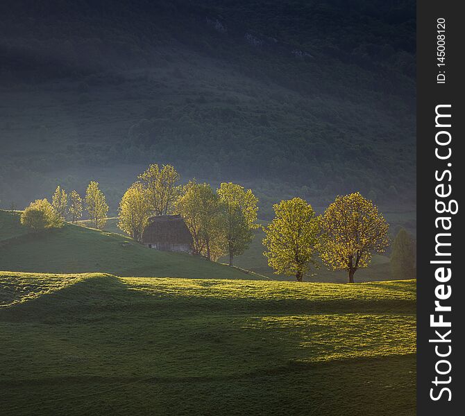 Spring sunrise at the forest edge, in Transylvania