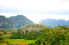 Vinales Valley Stock Images Vinales Valley Stock Images
