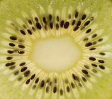 Kiwi Cut Stock Image Kiwi Cut Stock Image