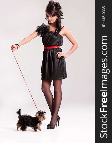 Young beautiful brunette woman in a black dress with a Yorkshire terrier. Young beautiful brunette woman in a black dress with a Yorkshire terrier