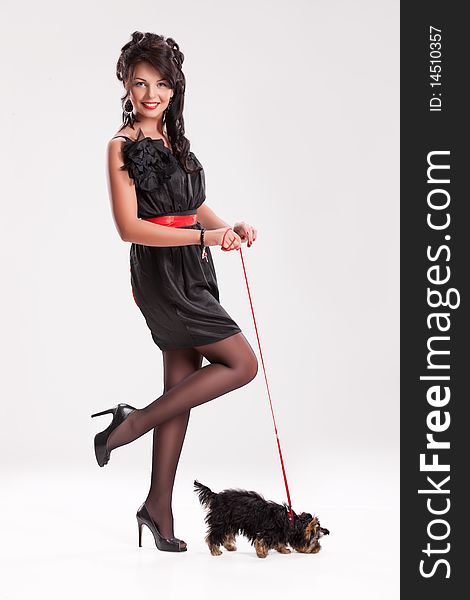 Young beautiful brunette woman in a black dress with a Yorkshire terrier. Young beautiful brunette woman in a black dress with a Yorkshire terrier
