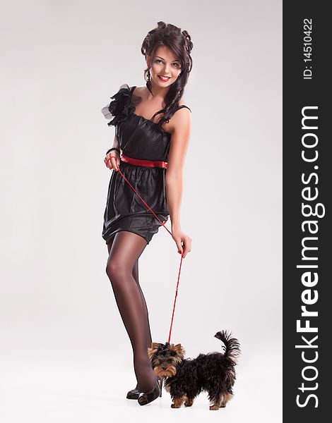 Young beautiful brunette woman in a black dress with a Yorkshire terrier. Young beautiful brunette woman in a black dress with a Yorkshire terrier