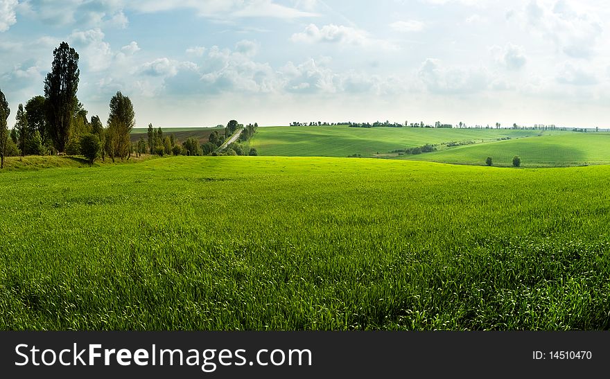 An image of a green summer field and sky. An image of a green summer field and sky