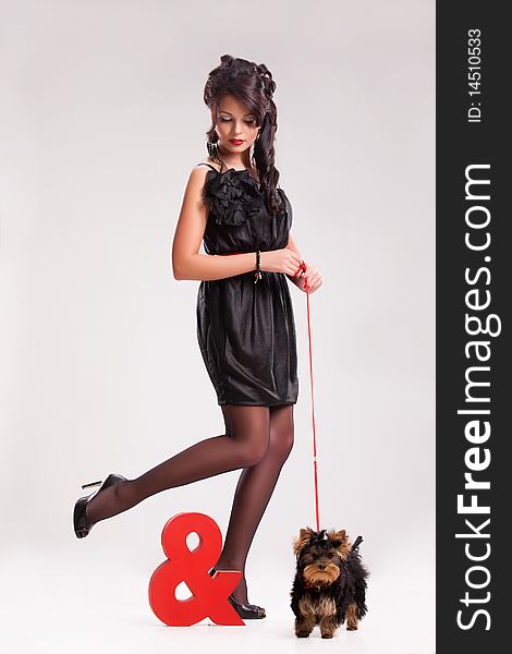 Young beautiful brunette woman in a black dress with a Yorkshire terrier. Young beautiful brunette woman in a black dress with a Yorkshire terrier