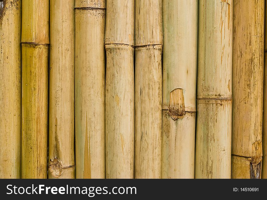 Close up of bamboo wall