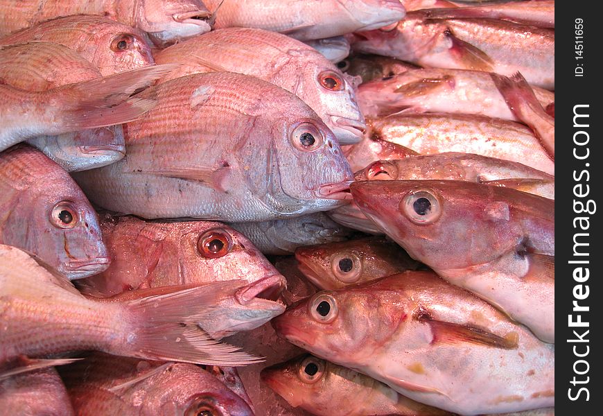 Fresh raw fish on the market