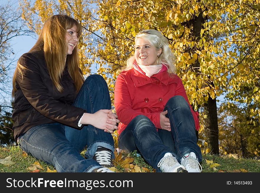 Two young women in the autumn park. Two young women in the autumn park