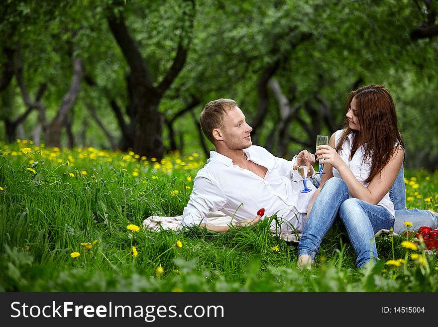 The young couple in park on picnic drinks champagne. The young couple in park on picnic drinks champagne