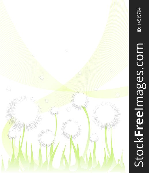 Greeting card with dandelion flowers as the background. Greeting card with dandelion flowers as the background