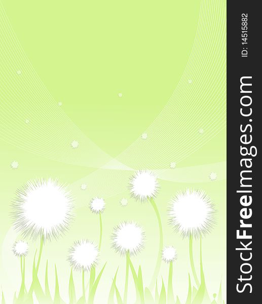 Greeting card with dandelion flowers as the background. Greeting card with dandelion flowers as the background