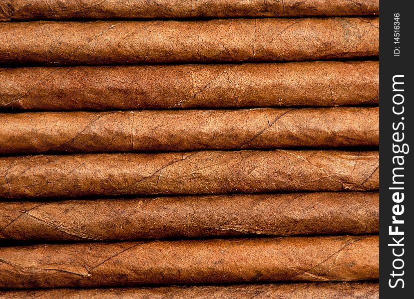Cigars in a row close-up. Cigars in a row close-up