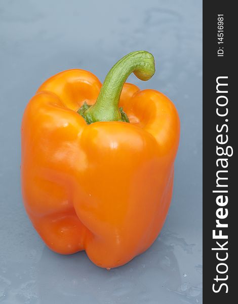 An orange belly pepper on a wet background and forground. An orange belly pepper on a wet background and forground