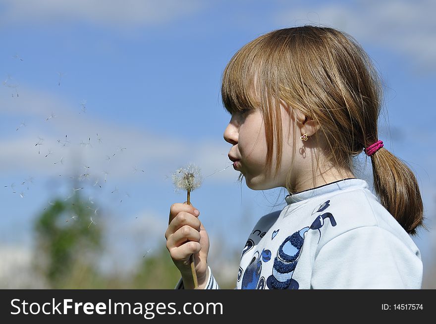 Little girl blowing a dandelion in bloom