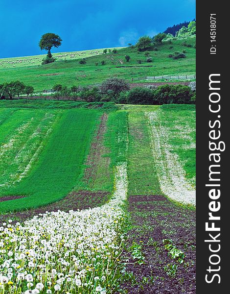 Spring agricultural landscape in north Slovakia. Spring agricultural landscape in north Slovakia