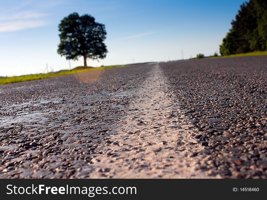 Deserted road leaving afar about a lonely tree