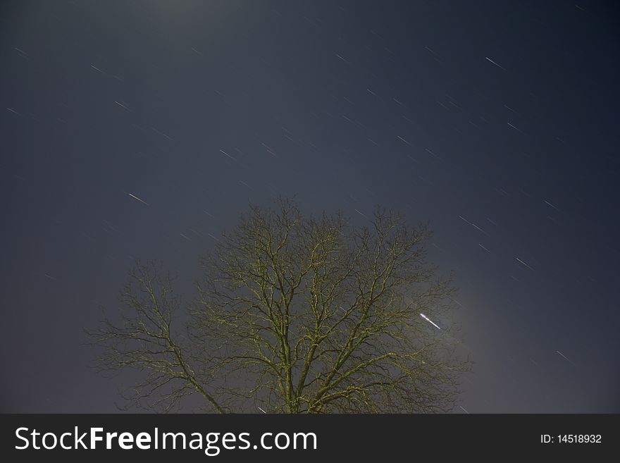 Long exposure taken from tripod on moonlit winter night. Shows the rotation of the stars and a planet about the sky. Long exposure taken from tripod on moonlit winter night. Shows the rotation of the stars and a planet about the sky.