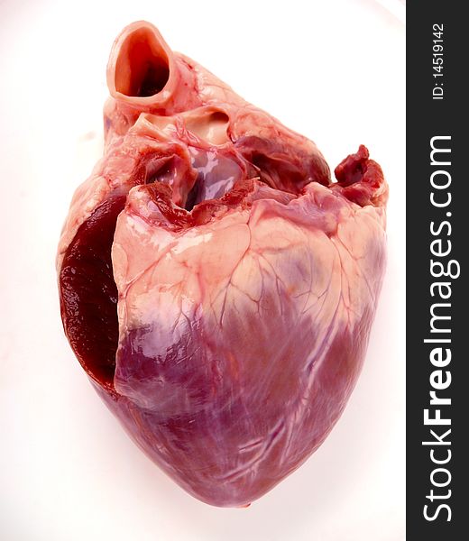 Pig heart. Close up on white background