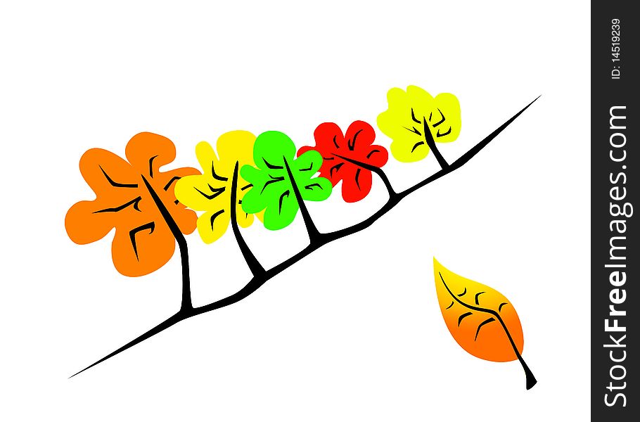 Picture of autumn: yellow, red, orange and green tree and leaf