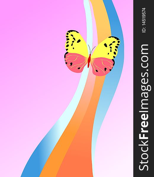 Vector colored composition with butterfly