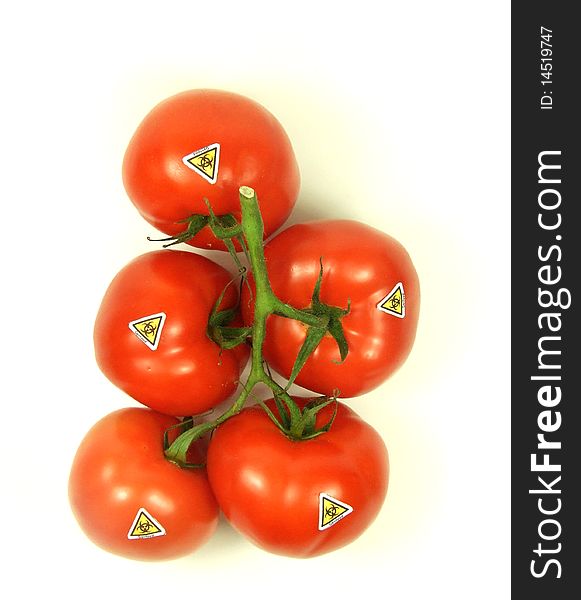 Genetic modification of red tomato. Genetic modification of red tomato